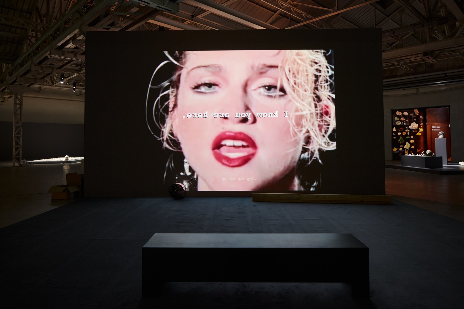 Installation view, the eye the eye and the ear, Pirelli HangarBicocca, Milan 2020