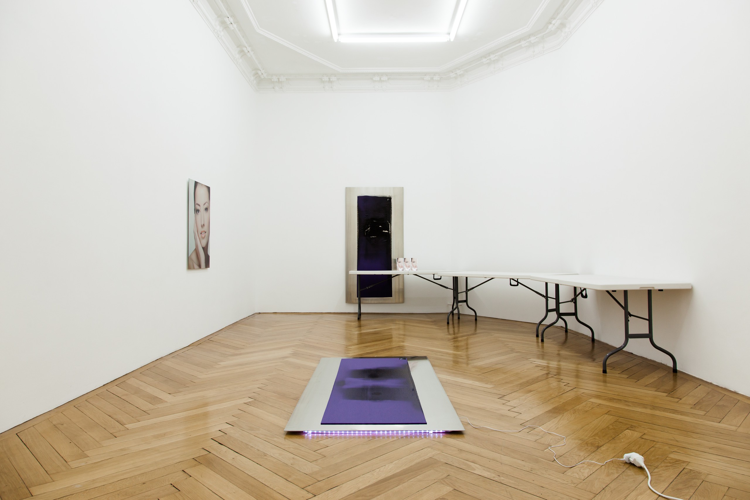 Installation view, Infinite Surrender, Focused Control, Société, Berlin, 2013