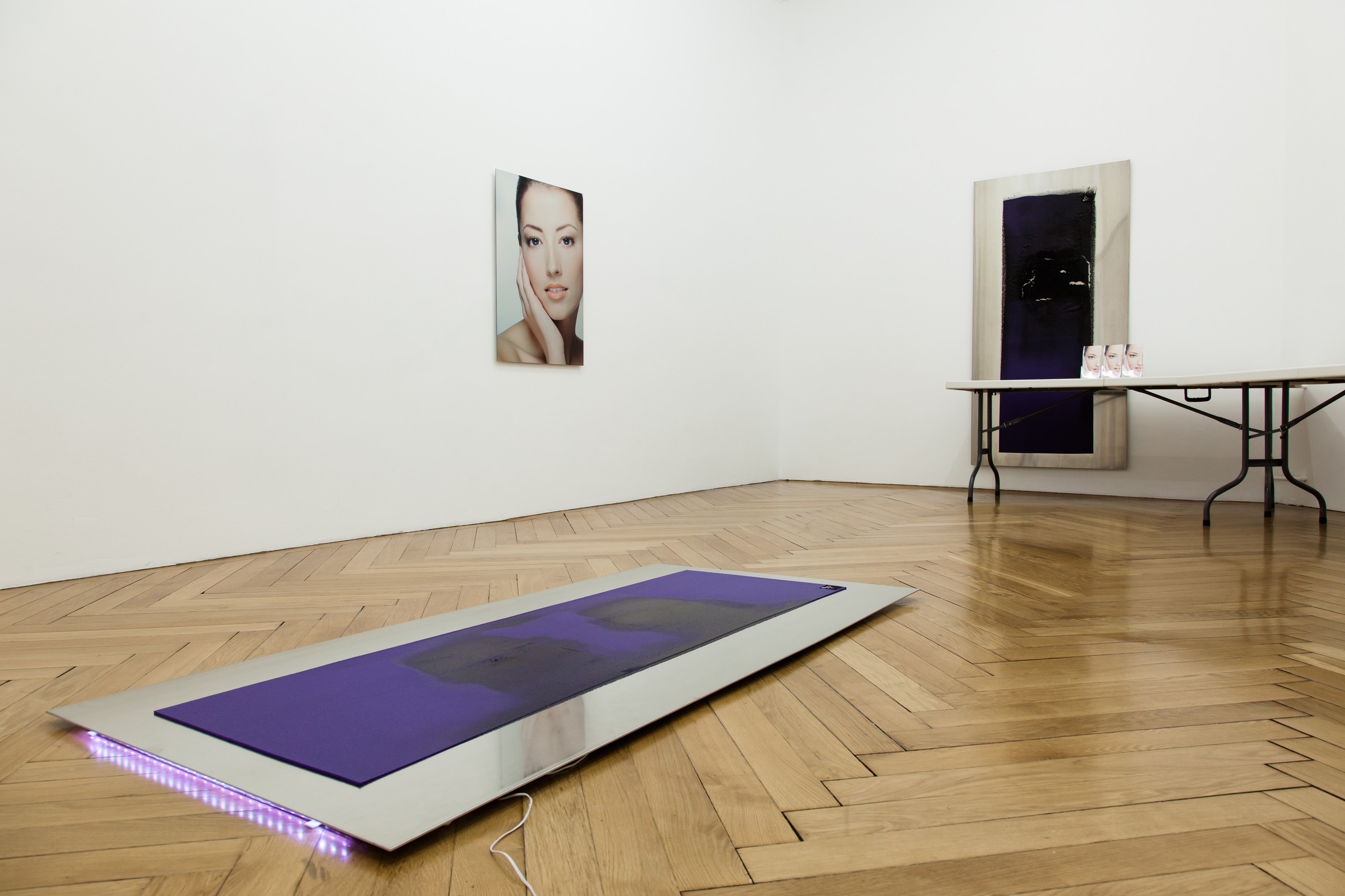 Installation view, Infinite Surrender, Focused Control, Société, Berlin, 2013