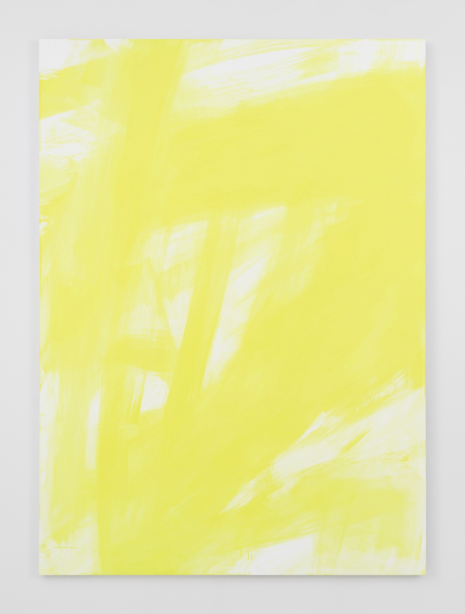 Davis Rhodes, Untitled, 2015, Oil on canvas, 183 x 132 cm / 72 x 52 in