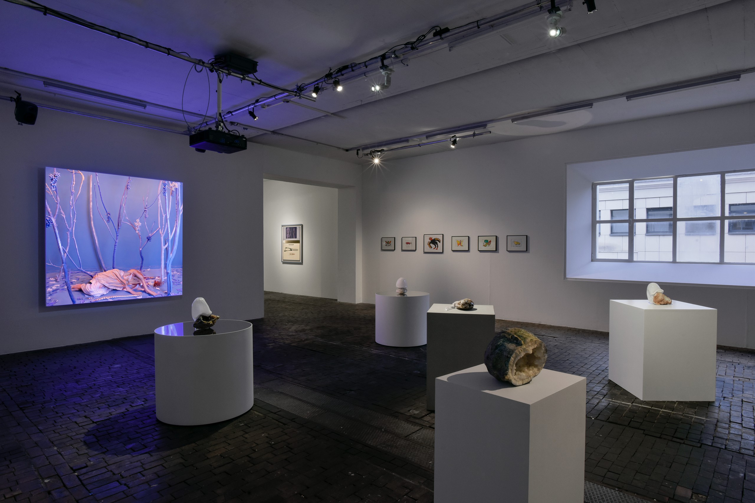 Installation view Chrysalis, The Butterfly Dream, The Centre d’Art Contemporain Genève, 2023