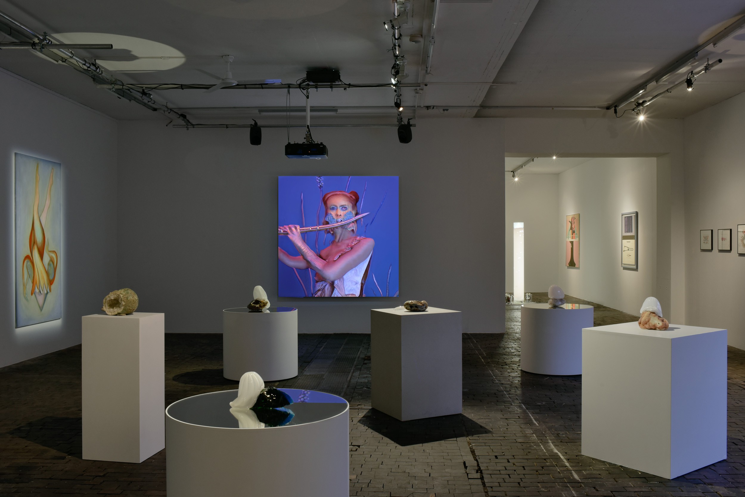 Installation view Chrysalis, The Butterfly Dream, The Centre d’Art Contemporain Genève, 2023