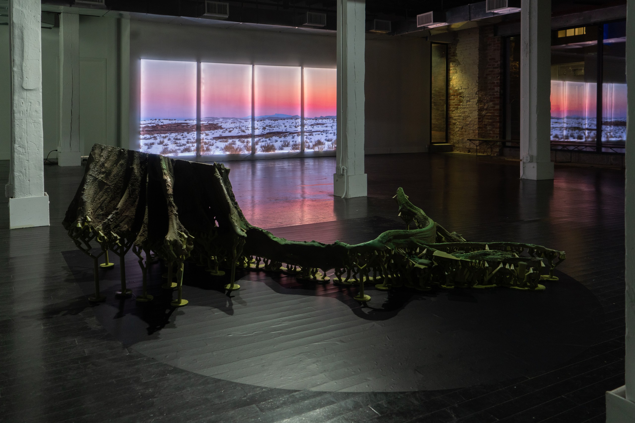 Installation view, Take Me, I Love You, von ammon co, Washington D.C., 2020