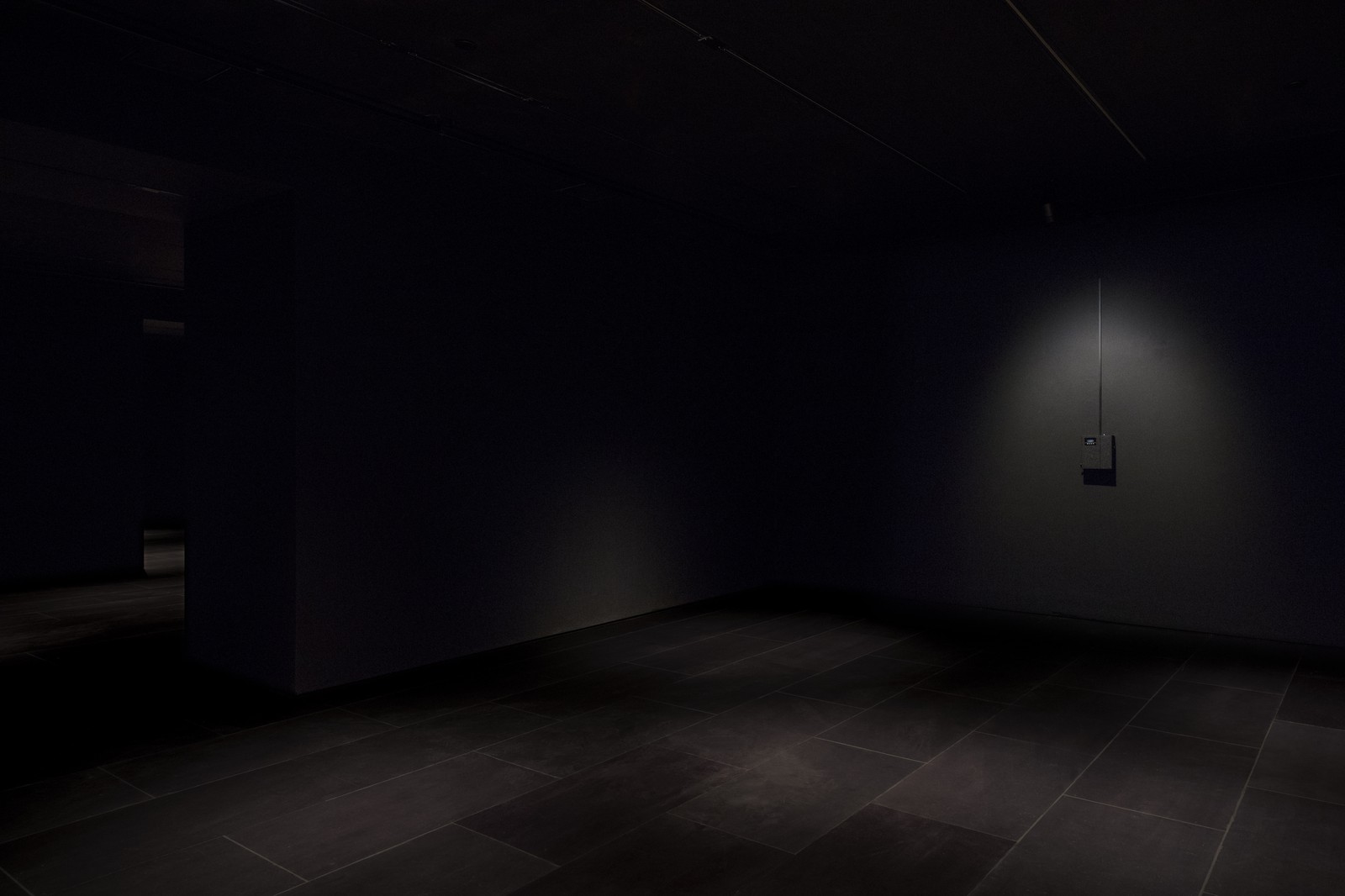 Installation view, New Molecules and Stem Cell Retinoid Screen, Empty Gallery, Hong Kong, 2019