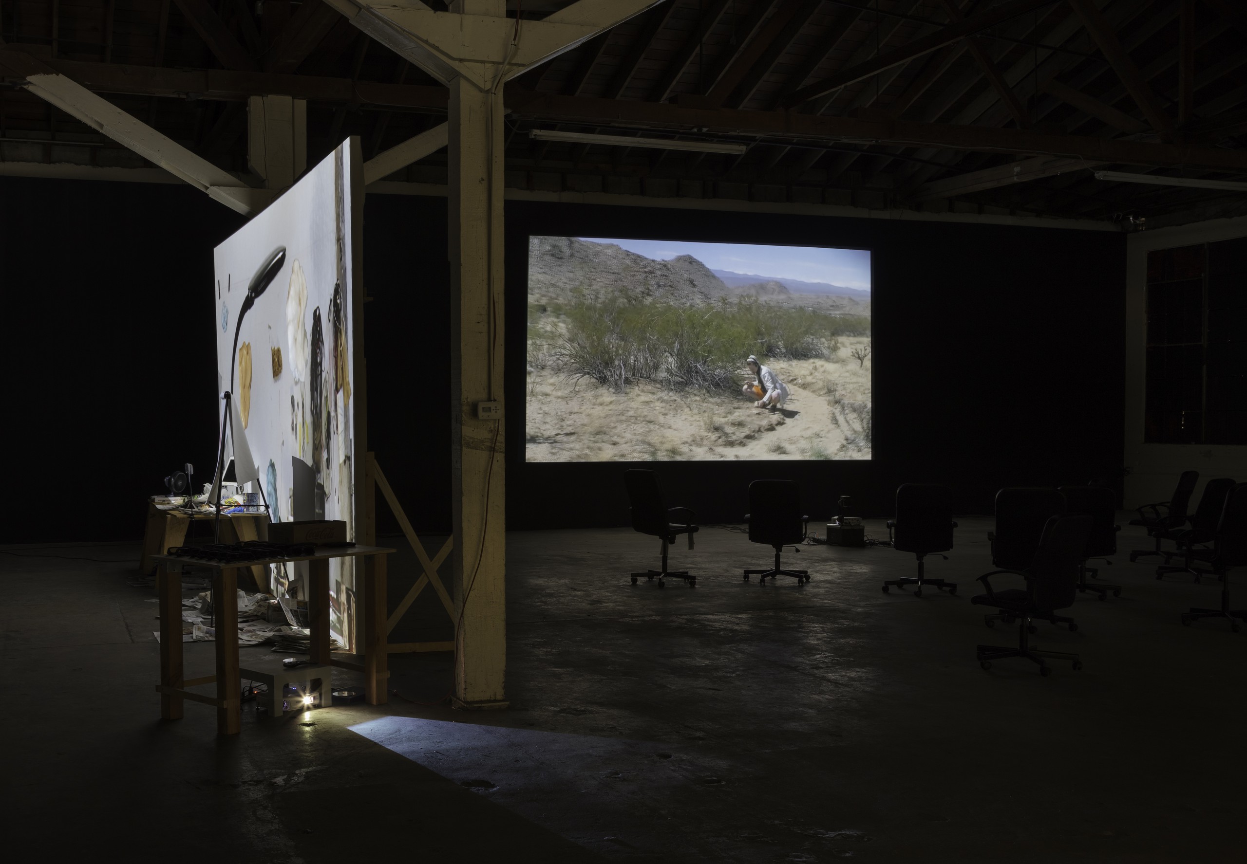 Installation view, BIOLOGUE. A New Musical, 365 Mission, Los Angeles, 2017