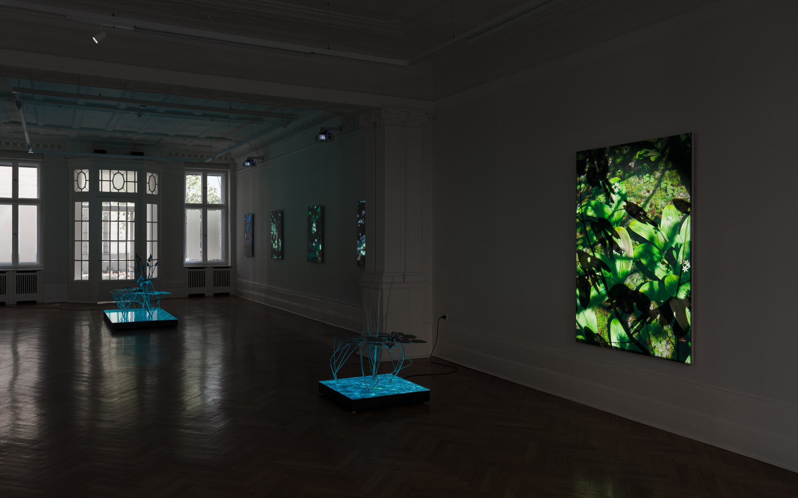 Installation view, Natural Origin, Société, Berlin, 2023