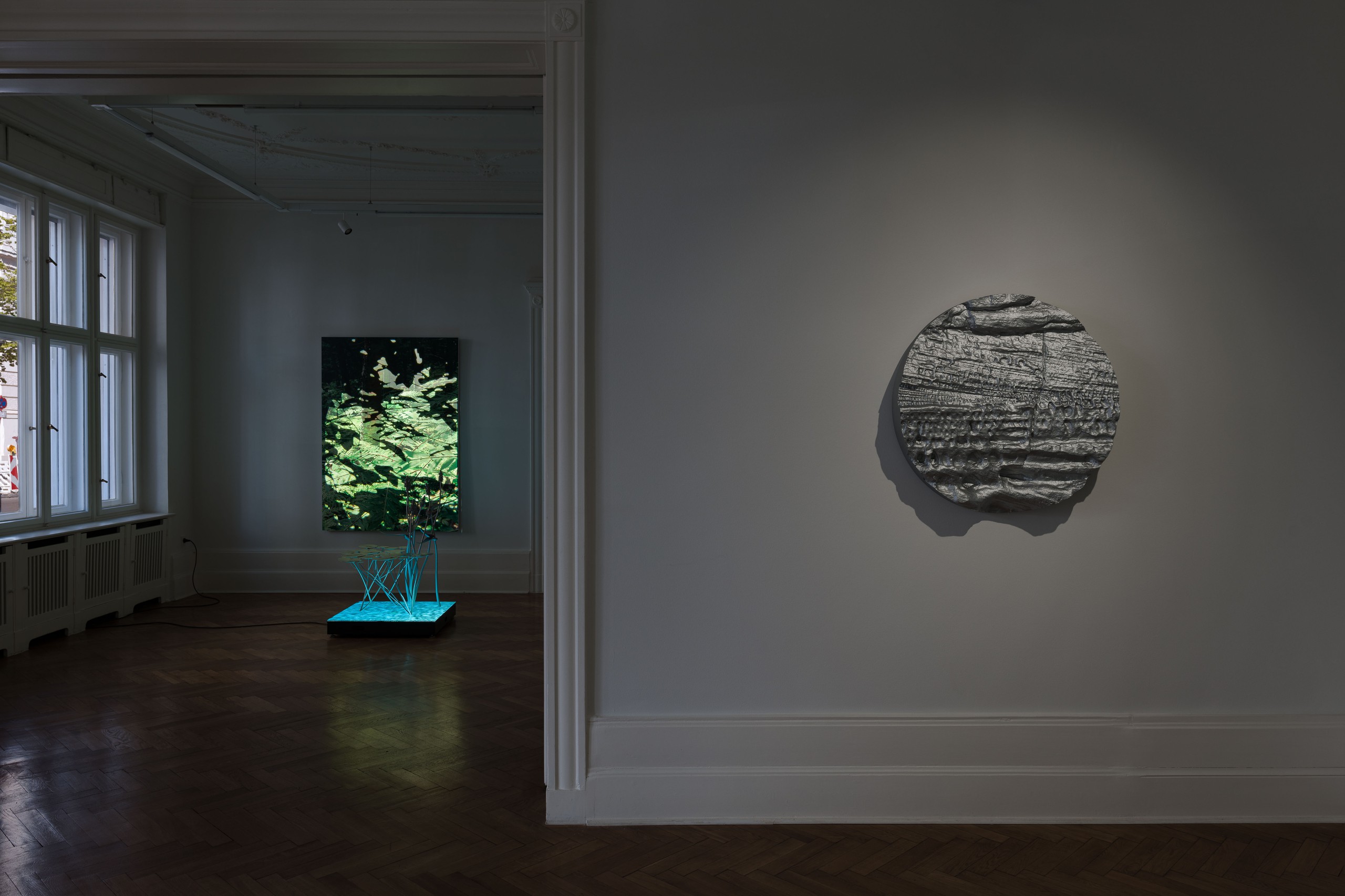 Installation view, Natural Origin, Société, Berlin, 2023