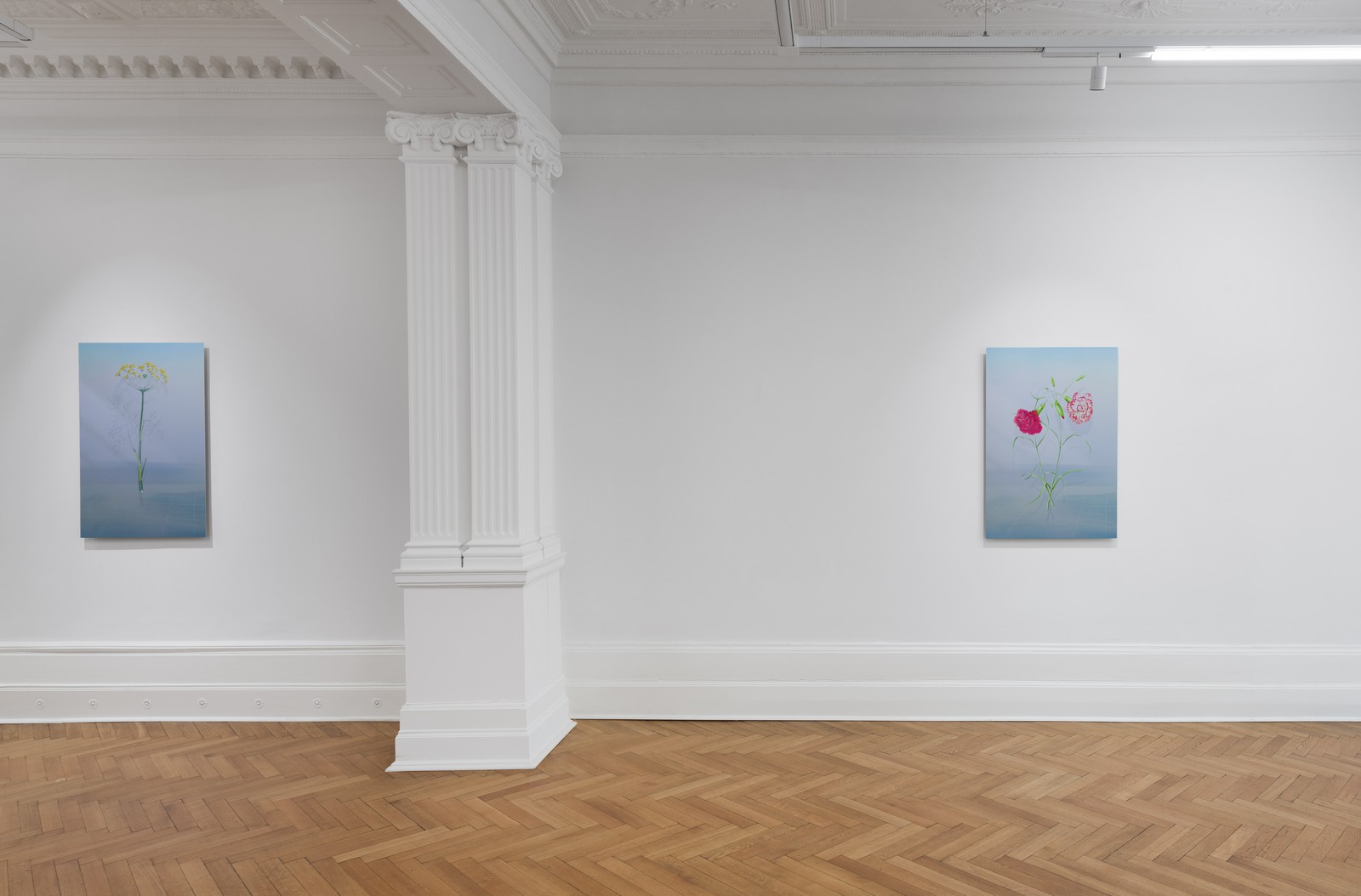 Petra Cortright - Société Berlin – SOCIÉTÉ