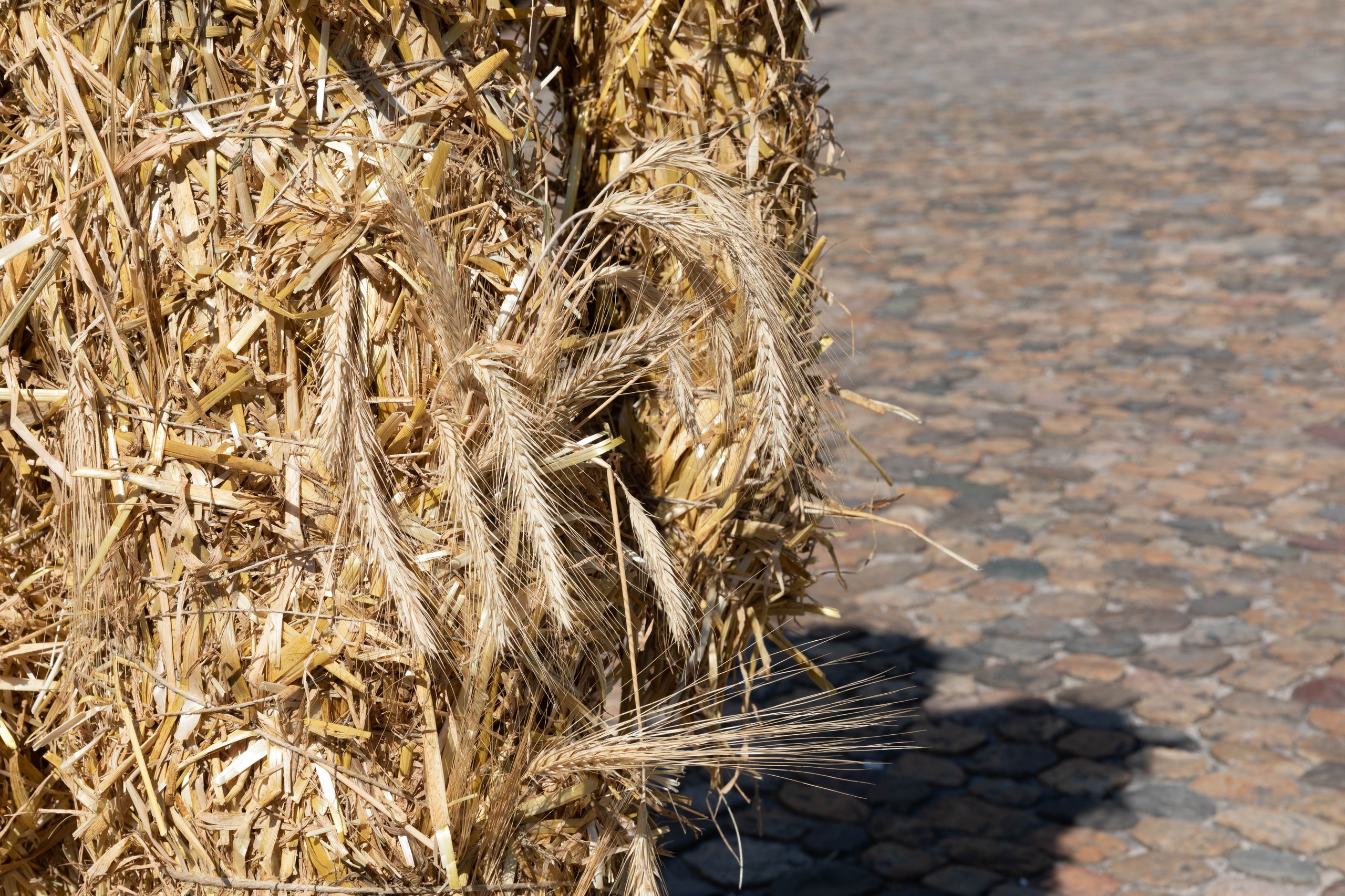 Art Basel Parcours 2023, curated by Samuel LeuenbergerKaspar Müller8 Figuren, 2023Straw, wood, metal, foam, hemp wireDimensions variable