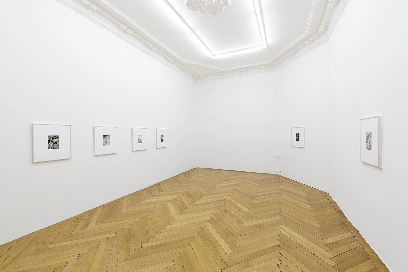 Installation view, A Simulated Future amid Collapse, Société, 2015