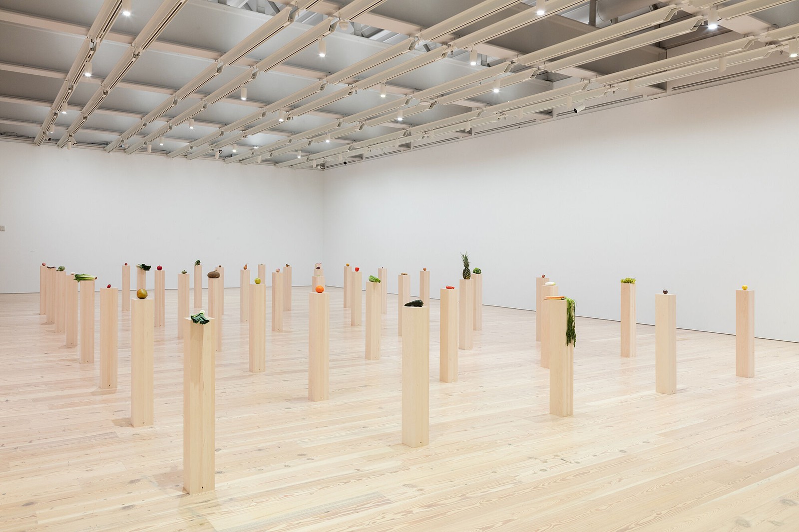 Installation view, fruits, vegetables; fruit and vegetable salad, Whitney Museum of American Art, New York, 2020