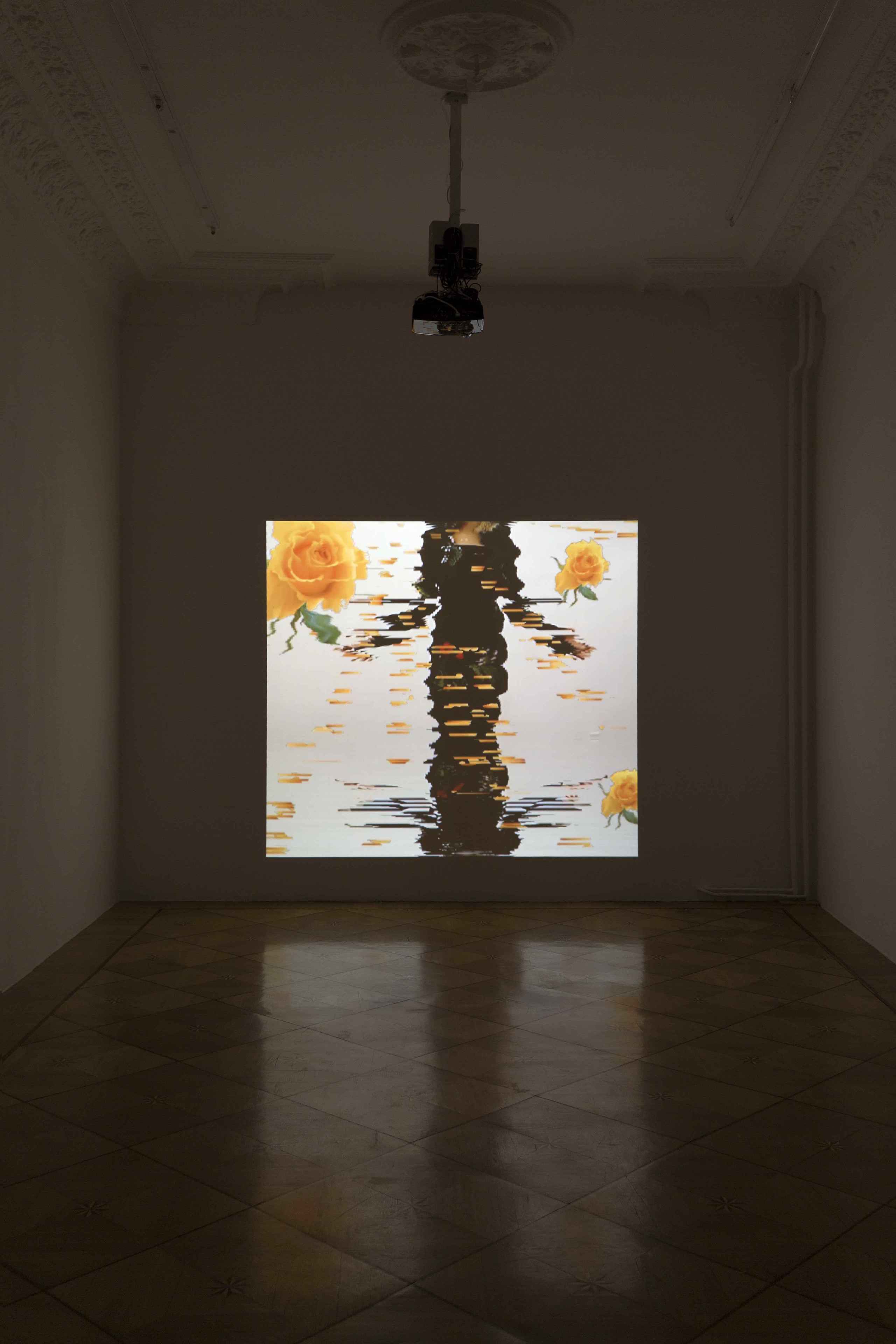 Installation view, die Rose, Société, Berlin, 2016